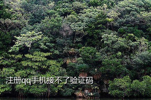 三羊接码为什么收不到短信