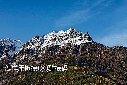 人良土兀免费接码资源百度网盘