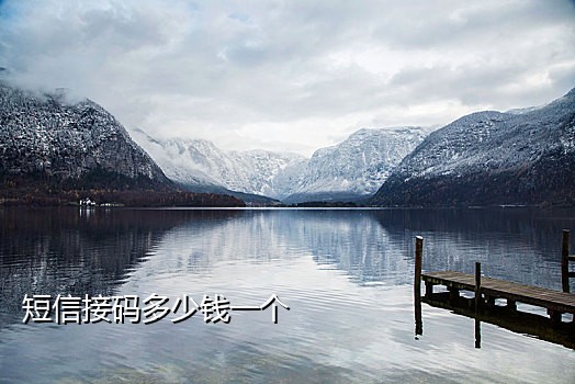 苹果x手机接不到验证码