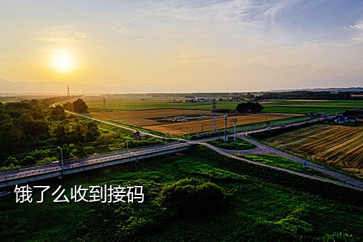 t3出行接码啥意思