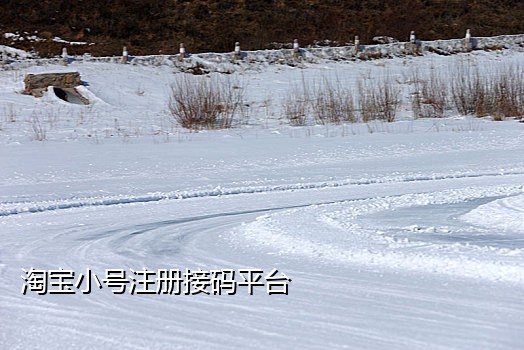 内地手机号接不了验证码