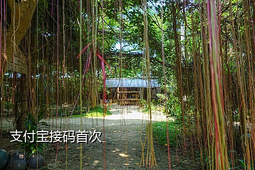 免费的接码手机软件