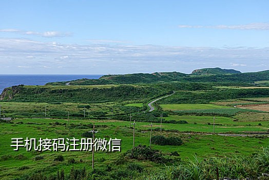 免费代接短信验证码软件