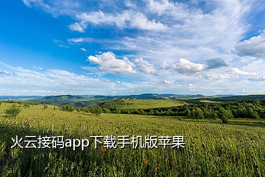 米云短信接码官网下载安装