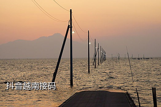 qq注册接码软件哪个好