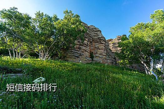 美团接码是干嘛的
