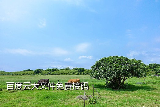 美团接码