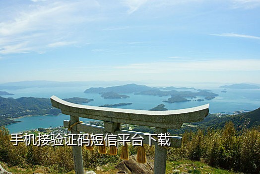 美国手机接验证码
