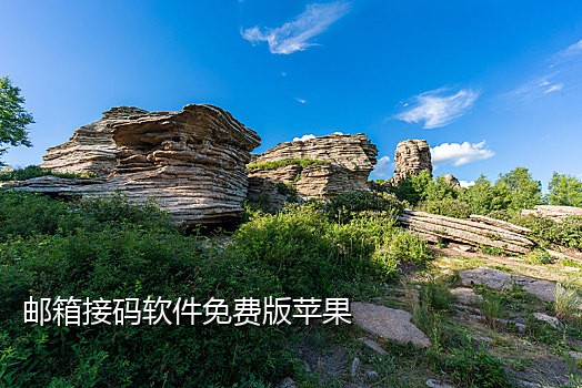 美国手机号接码网站