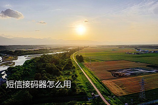 买境外手机号接码违法吗