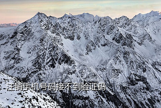 绿钻用手机接验证码充值