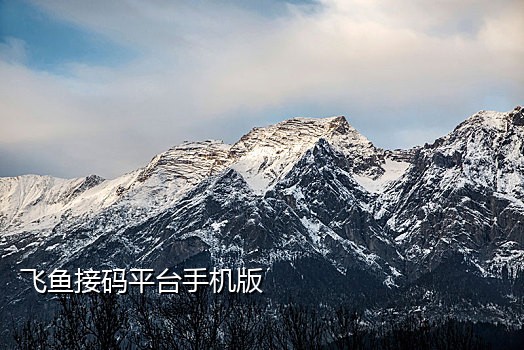 可以绑定qq的接码平台