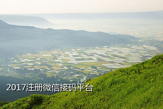 可接码手机号平台有哪些