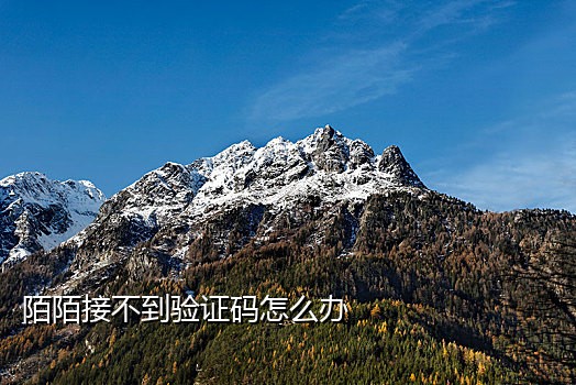 接微信注册验证码