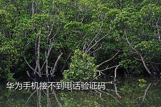 qq接码注册是什么原理