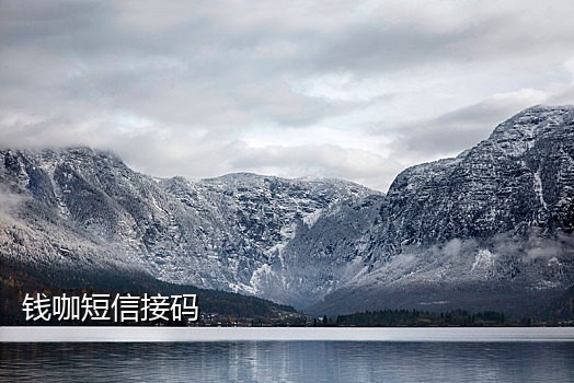 接码需要手机卡吗