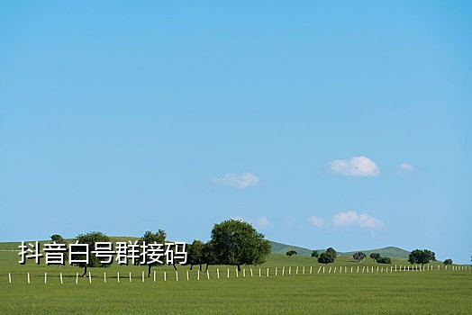 接码手机号平台有哪些