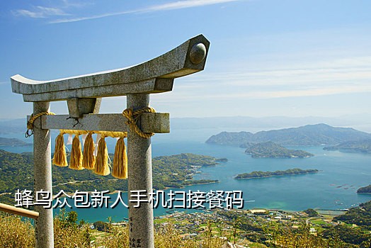 接码申请陌陌号