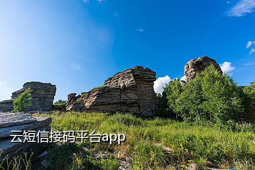 接码普通能做快手极速版