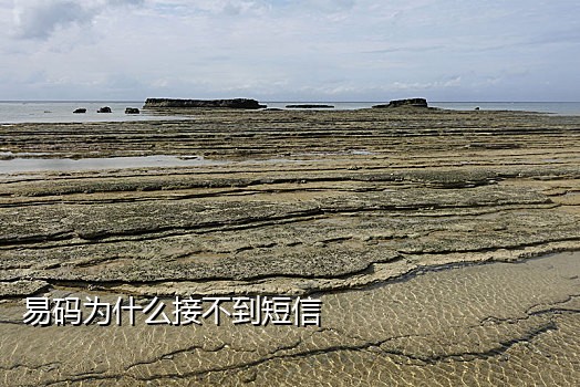接码平台需要手机卡吗