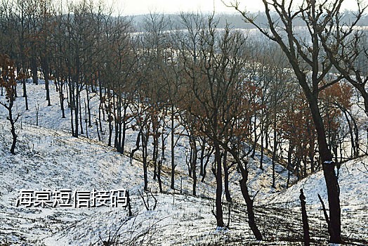 qq接码安全吗