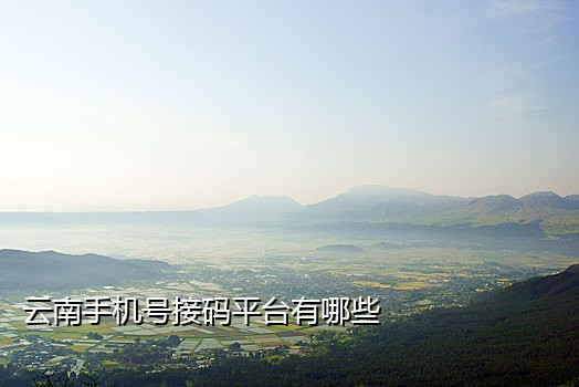 接码平台的手机号都不能用