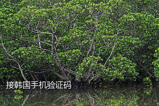 接码短信平台苹果