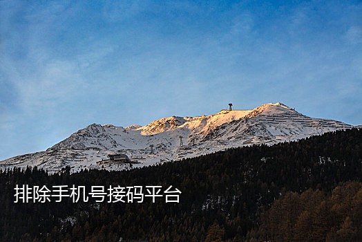 接短信校验码平台