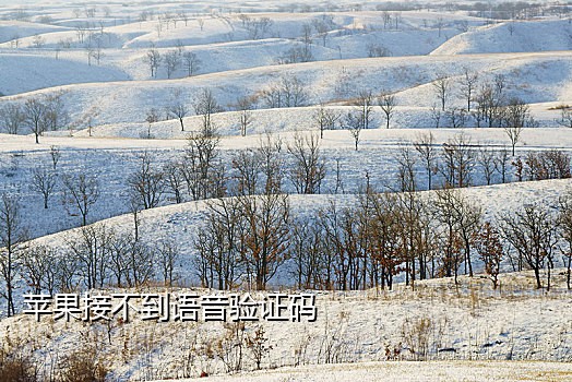 火云接码短信平台怎么样