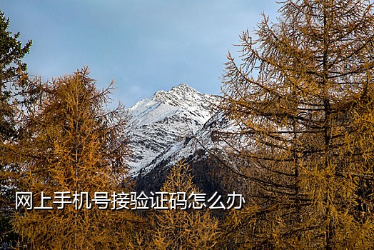 国外手机号接码违法么