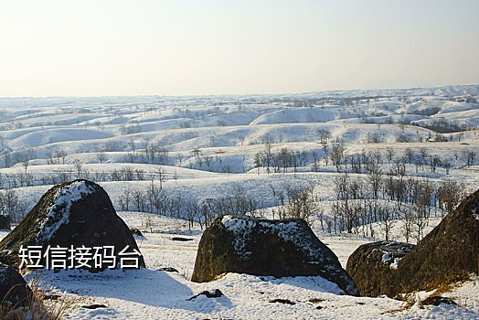 line 注册接不到验证码