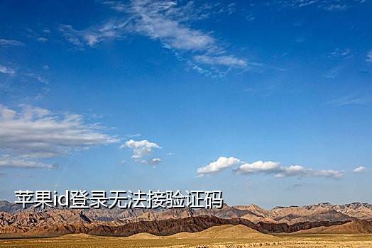 国际短信接验证码平台