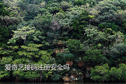 光遇如何快速扫码接心