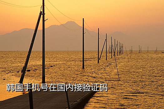 谷歌邮箱手机验证接码平台