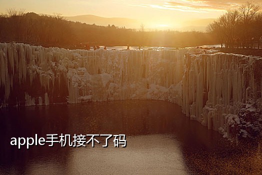 谷歌手机接码方法