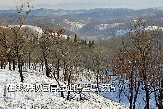 共享云手机接码