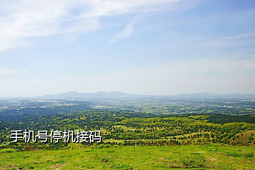 飞信支付宝验证码怎么接
