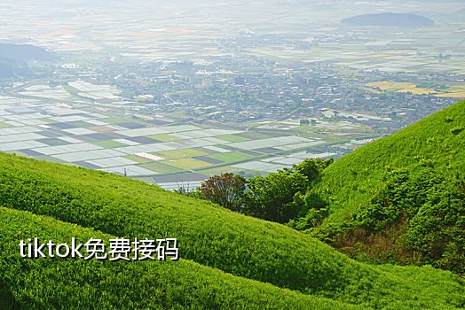飞牛接码手机版