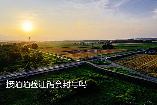 二维码接码手机版