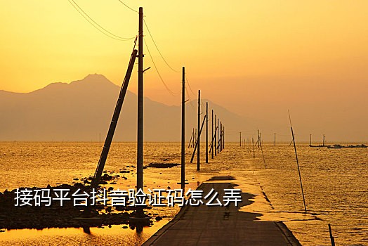 饿了么实卡接码