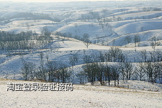 短信接码助手下载