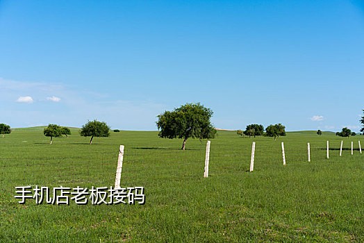 短信接码源码整套