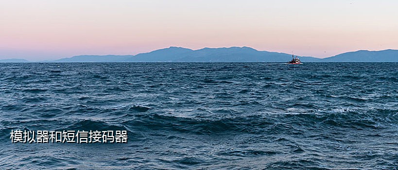 短信接码用什么项目