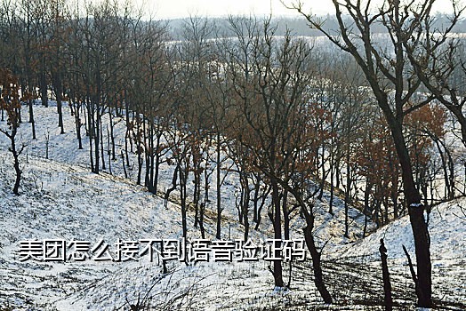 短信接码拦截码