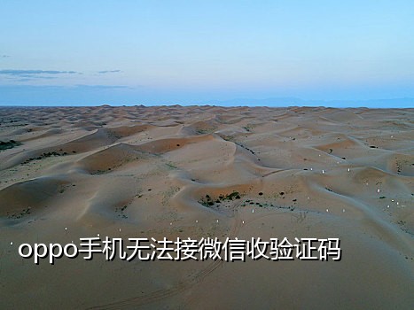 短信接码app有哪些