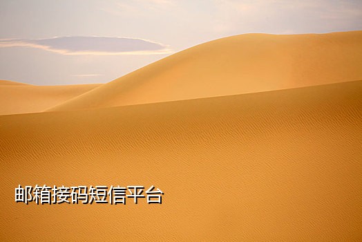 短信接发码平台