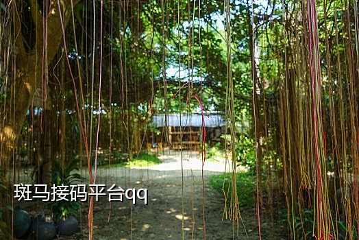 短信api接码平台