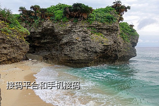 抖音实卡接码是什么东西