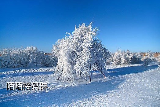 抖音扫码接彩蛋