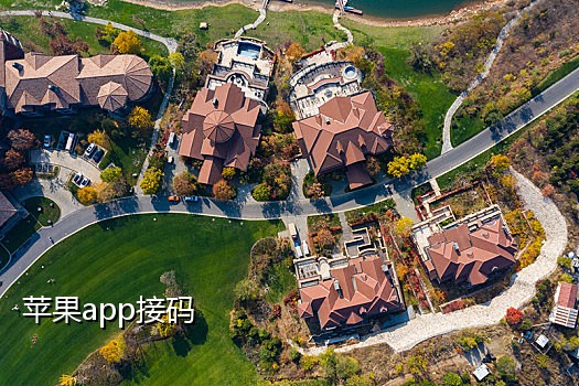 api手机卡接码怎么操作